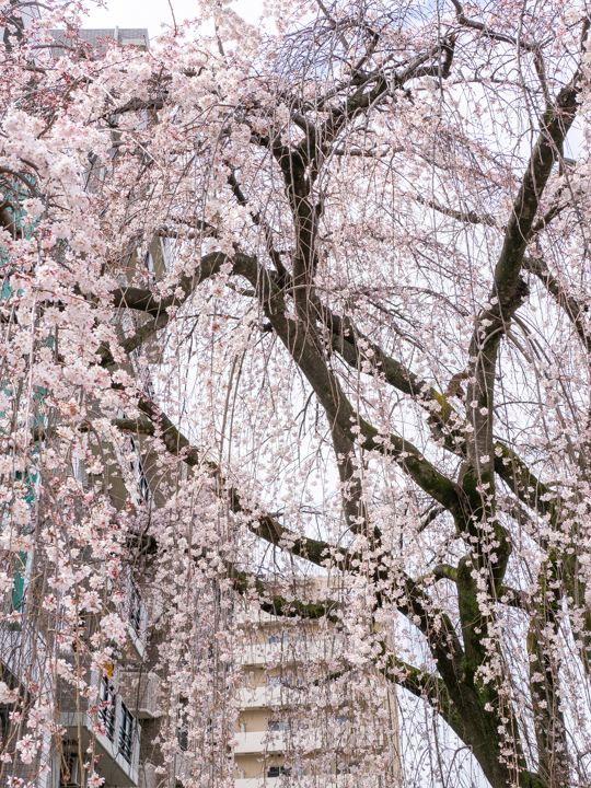 原町田五丁目交差点