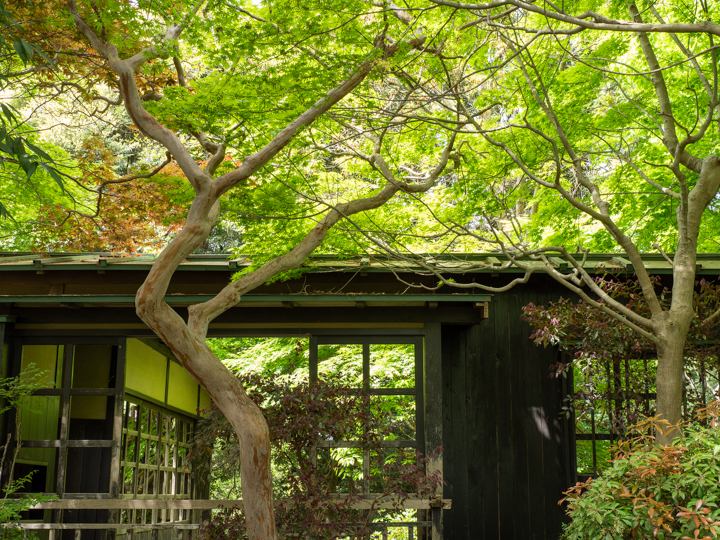茅ヶ崎里山公園